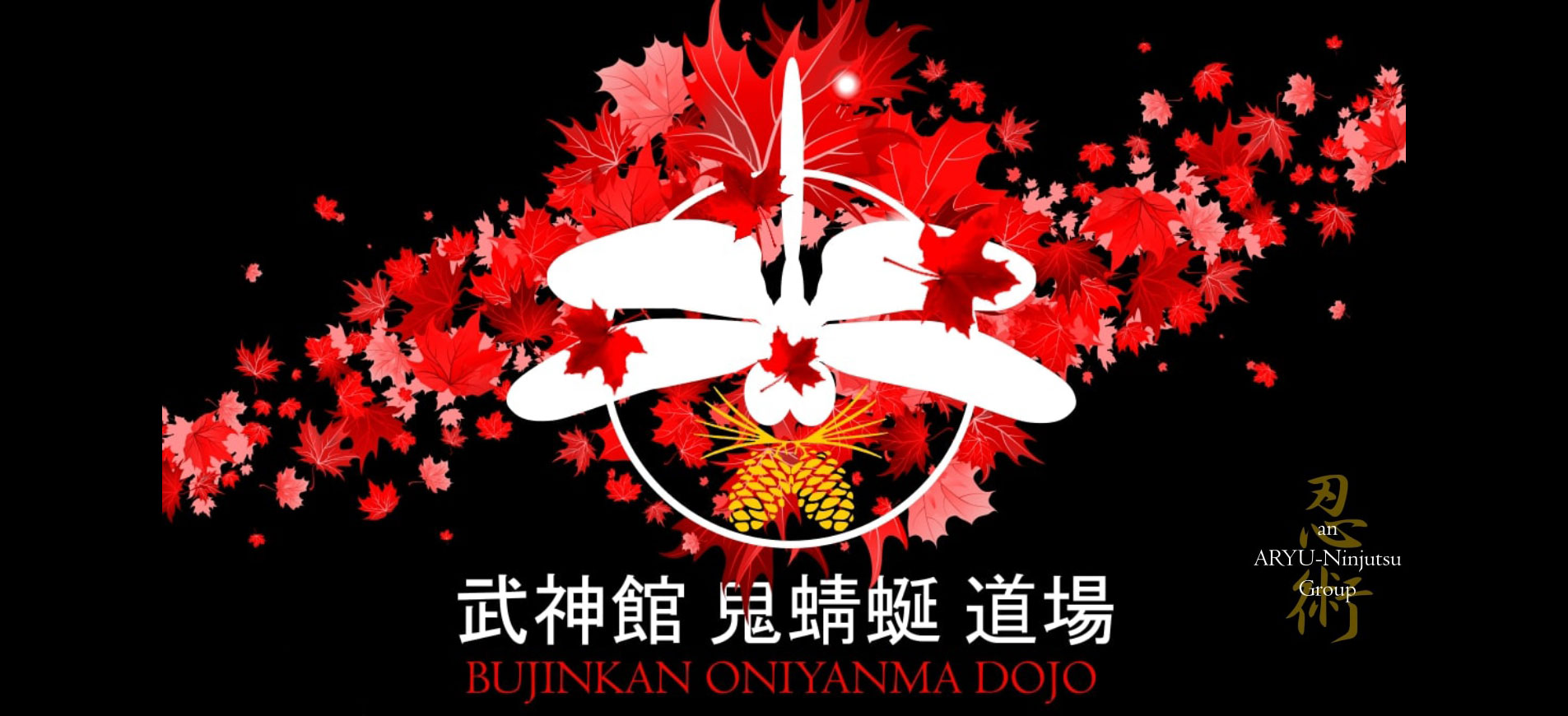 Oniyanma Dojo Banner